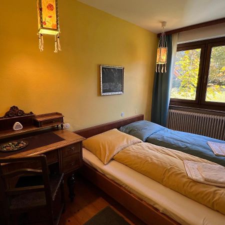 Haus Im Gruenen Apartment Saalfelden Luaran gambar