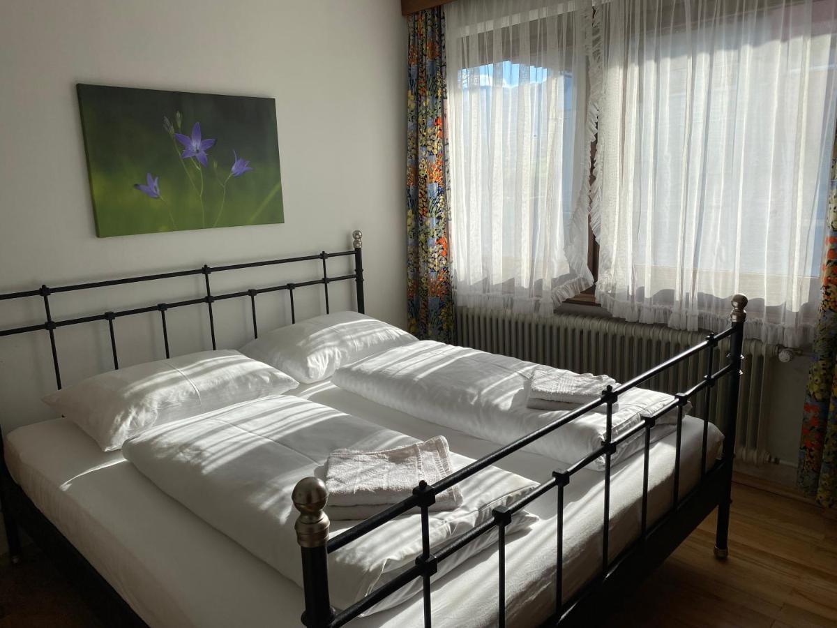 Haus Im Gruenen Apartment Saalfelden Luaran gambar