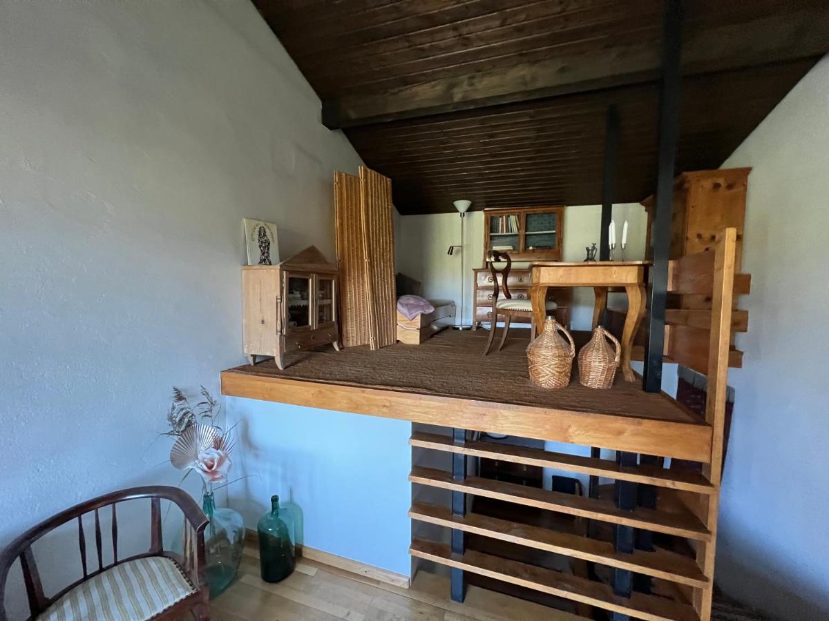 Haus Im Gruenen Apartment Saalfelden Luaran gambar